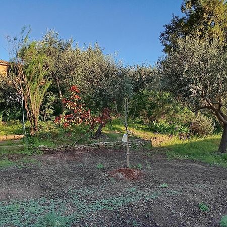 דירות וואלנסול Studio 25M2 Avec Piscine Et Spa, Proche Iter Et Cadarache מראה חיצוני תמונה