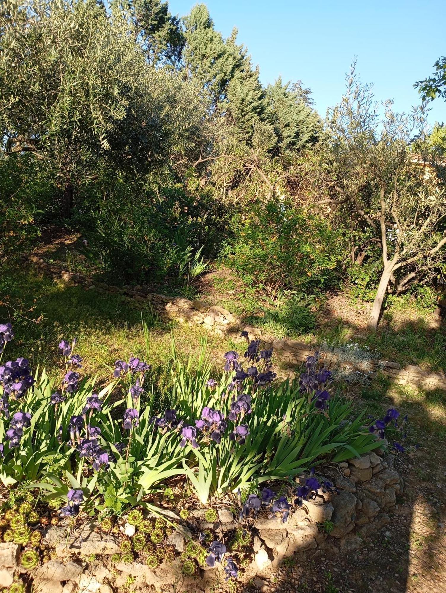 דירות וואלנסול Studio 25M2 Avec Piscine Et Spa, Proche Iter Et Cadarache מראה חיצוני תמונה