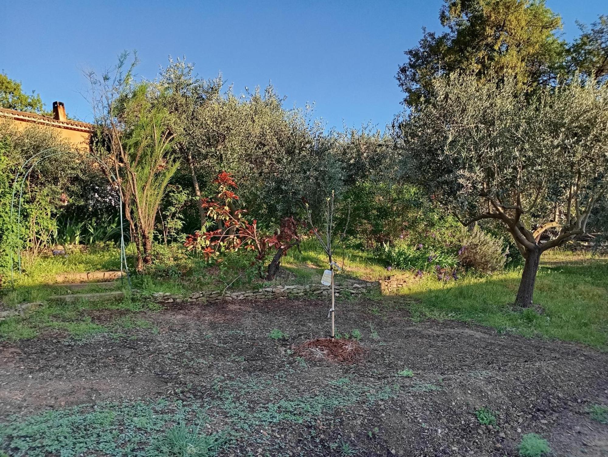 דירות וואלנסול Studio 25M2 Avec Piscine Et Spa, Proche Iter Et Cadarache מראה חיצוני תמונה