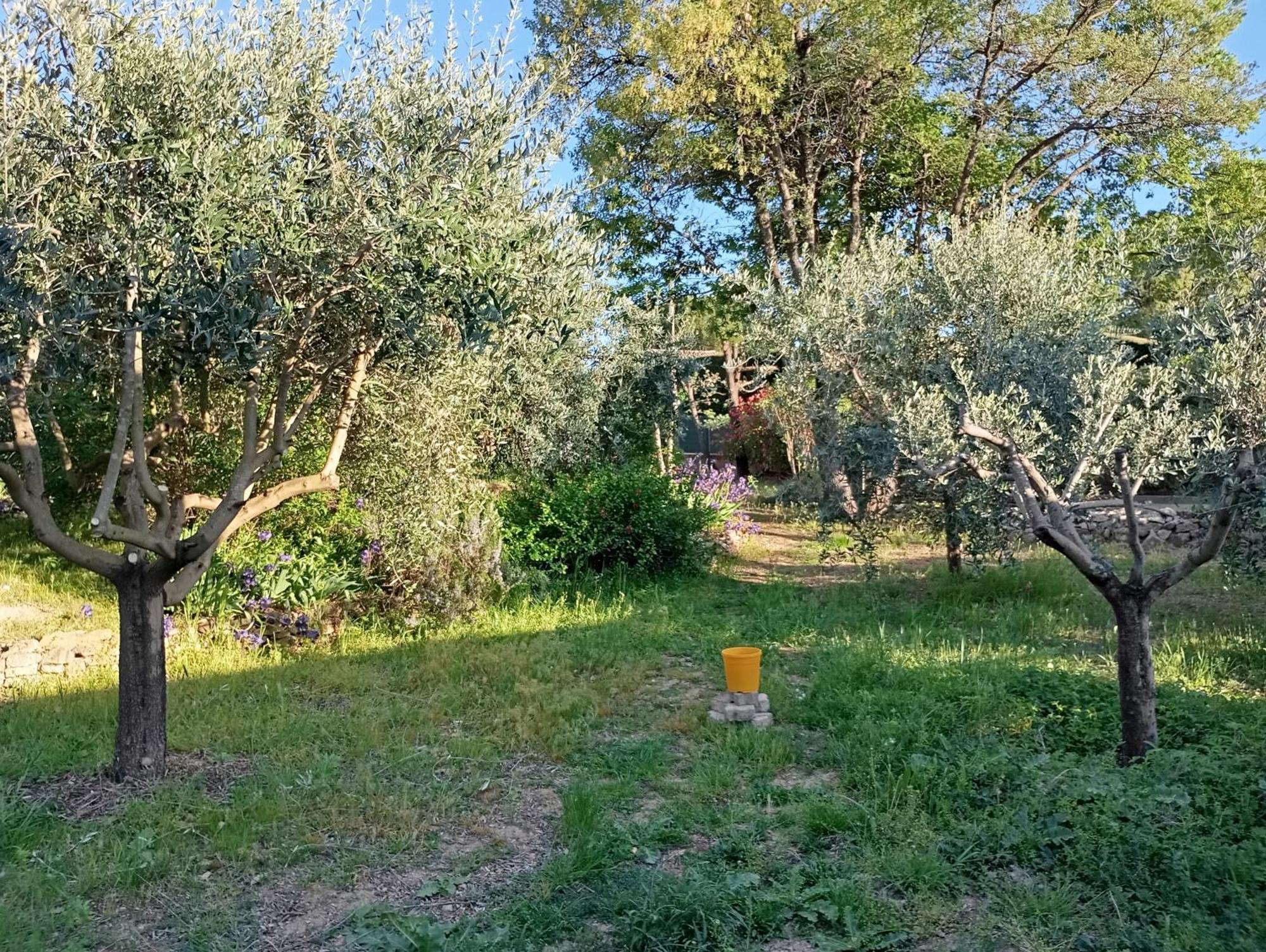 דירות וואלנסול Studio 25M2 Avec Piscine Et Spa, Proche Iter Et Cadarache מראה חיצוני תמונה